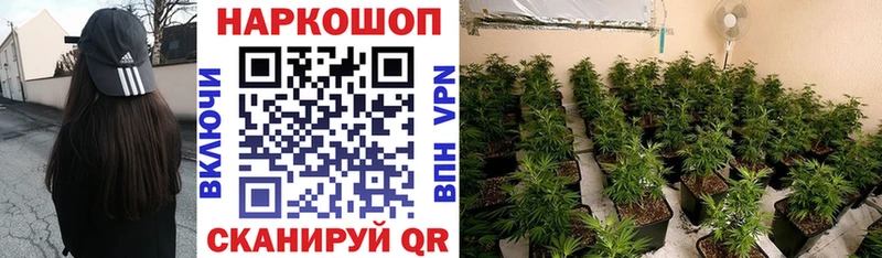 Как найти наркотики Соликамск АМФЕТАМИН  Галлюциногенные грибы  Меф мяу мяу  ГАШИШ  Каннабис 