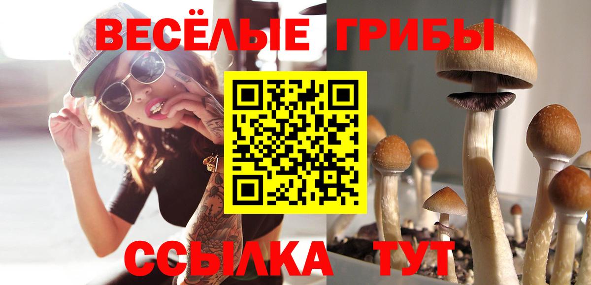 Псилоцибиновые грибы ЛСД  магазин    Псилоцибиновые грибы Psilocybe  Соликамск  Вход с VPN 