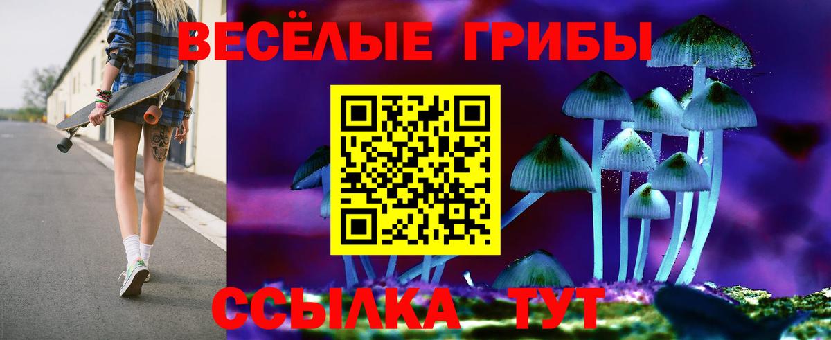 Галлюциногенные грибы GOLDEN TEACHER Соликамск
